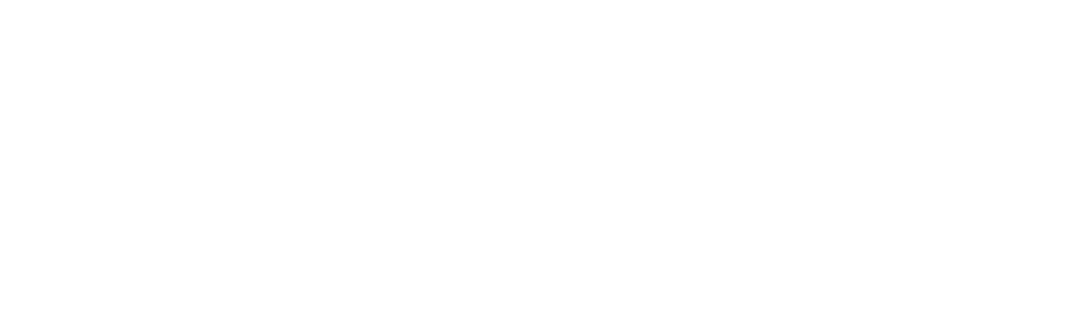 KSB Hildesheim Deutsches Sportabzeichen Logo weiss